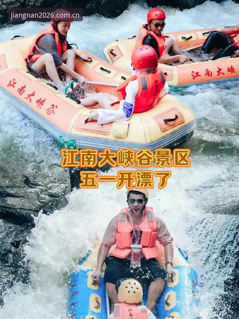 2026新版江南体育平台的5大核心升级与3步高效使用方法